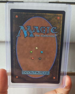 MTG - Funeral Room // Awakening Hall- Duskmourn: House of Horror- #100 - Image 3