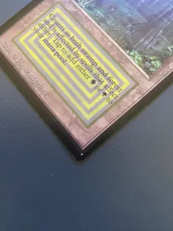 MTG Bayou (IE) International Edition - Image 2