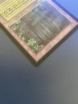 MTG Bayou (IE) International Edition - Image 3