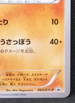 Hawlucha Promo 2015 Rare 065/XY-P Vintage Nintendo Pokemon Card Japanese F/S - Image 5