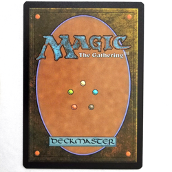 x12 Forest Basic Land (0378) Bloomburrow Green x12 M/NM MTG BLB Card Game - Image 2