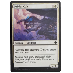 x1 Felidar Cub MTG FDN M/NM Creature Cat Beast White Common Foundations TCG CCG - Image 1