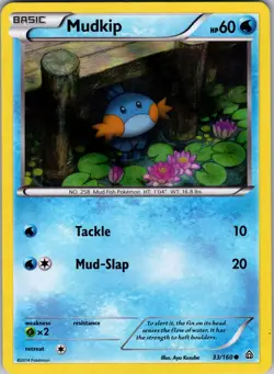 Mudkip - (Sheen Holo) 033/160 Miscellaneous Cards & Products Pokemon TCG LP-NM - Image 1