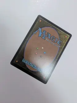 MTG - Swamp 289 - Avatar: The Last Airbender NM/M Condition - Image 3