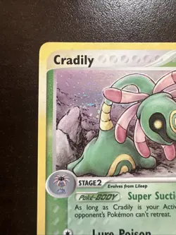 Cradily Holo Rare 3/100 DMG Pokemon TCG EX SANDSTORM E SERIES - Image 2
