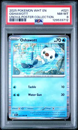 2025 POKEMON WHT EN-WHITE FLARE UNOVA POSTER COLL #021 OSHAWOTT PSA 8 - Image 1
