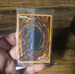 YU-GI-OH DARK PALADIN DMG-001 LIMITED EDITION SEALED TCG Secret Rare Promo Card - Image 2