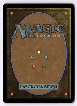 Cloud, Planet's Champion NM* FOIL Final Fantasy ENGLISH 0552 mtg -UnltdCards - Image 2