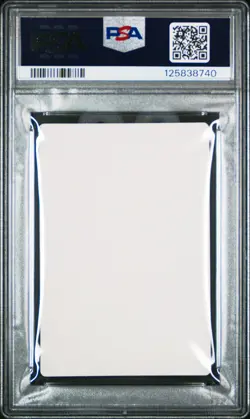 2018 CARDDASS POKEMON QUEST STICKERS SQUIRTLE PSA 10 - Image 2