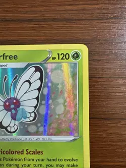 Butterfree Rare Holo Card 003/264 Swsh08: Fusion Strike Pokemon TCG 2021 - Image 3