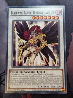 Blackwing Tamer - Obsidian Hawk Joe - LDS2-EN042 - Common - 1st Edition Yugioh - Image 1