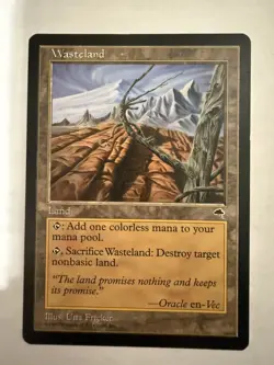 MTG: Wasteland Tempest 1997 Card Regular Magic The Gathering - Image 1