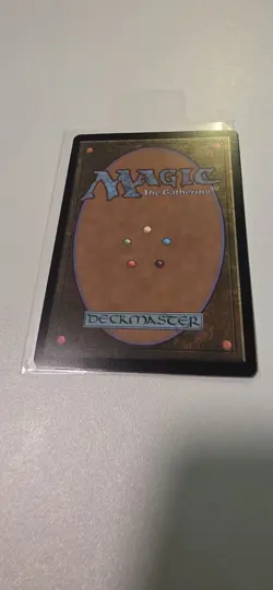 Llanowar Elves ✨ Borderless FOIL ✨ MTG (0012) Encyclopedia Secret Lair - Image 3