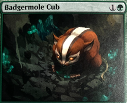 Badgermole Cub Magic The Gathering Avatar The Last Airbender NM 0167 Mythic - Image 3