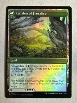 MTG / Disciple of Freyalise / MH3 / #250 / FOIL / Uncommon / NM - Image 2