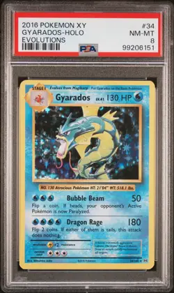 Pokemon TCG 2016 XY Evolutions Gyarados Holo 34/108 PSA 8 - Image 1