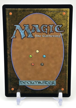 MTG: Avatar the Last Airbender: The Banyan Tree (Regular)(Borderless) M#041 - Image 2