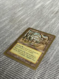 Gaea's Cradle - 1999 Matt Linde (USG) World Championship Decks MTG Magic - Image 2