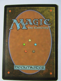 MTG Moonmist Innistrad Moderate Play!! - Image 2