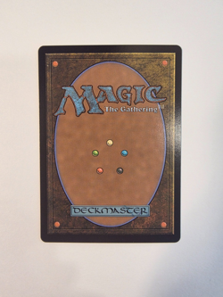 MTG Mystic Remora (#0016) - Avatar: The Last Airbender - Borderless - Foil NM - Image 2