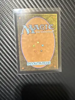 1x Wan Shi Tong Librarian Borderless FOIL NM - Magic MTG TLA x1 - Image 3