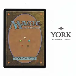 MTG Shivan Reef - Apocalypse #142/143 - NM Regular EN - Image 2