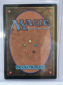 Noctis's Death Magic Damn 1870 Normal Japanese Secret Lair Magic The Gathering - Image 2