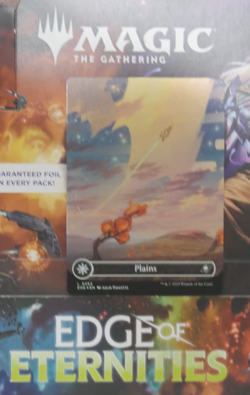 MTG EOE: Plains (0262) (Borderless) Edge of Eternities Foil - Image 1