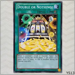 Double or Nothing! - YS13-EN024 - Common 1st Edition Yugioh - Image 1