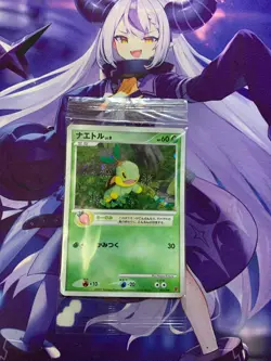 NM Pokemon PROMO Turtwig 001/PPP Chimchar 002 Piplup 003/PPP Fan Club Seald #422 - Image 1