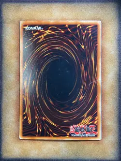 Yugioh Salamandra DDS-006 Parallel Secret Rare MP - Image 4