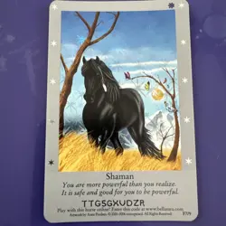 BELLA SARA Shaman FOIL CARD F7/9 SILVER BOARDER 1ST SERIES MINT UNUSED CODE - Image 1