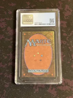 Alpha Plains (Trees) CGC 6 MTG Magic The Gathering - Image 2
