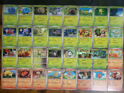Pokemon Twilight Masquerade Base Master Set 100% Complete NM x4 = 588 cards - Image 1