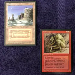 PLATEAU dual land and Sedge Troll Foreign Black Border French MTG MP - Image 1