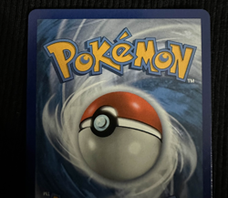 Pokemon TCG: Eevee VMAX SWSH087 SWSH + Eevee #173 Promo NM Lot - Image 3