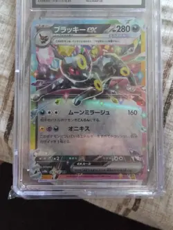 Umbreon ex 093/187 Terastal Festival 2024 CGC 10 Gem Mint Pokemon Card Japanese - Image 3