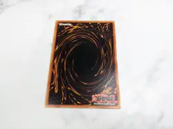 Yugioh Paladin of White Dragon SKE-024 TCG Card - Image 3