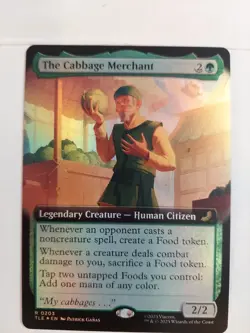 1x (203 TLE) The Cabbage Merchant - FOIL - EXTENDED ART MTG Avatar: The Last Air - Image 1