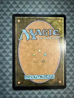 MTG Ran and Shaw #0325 Foil Borderless Rare Avatar: The Last Airbender (TLA) - Image 3