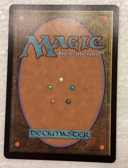 ?? MTG: Overgrown Tomb (Borderless) Ravnica Remastered Regular - Image 2