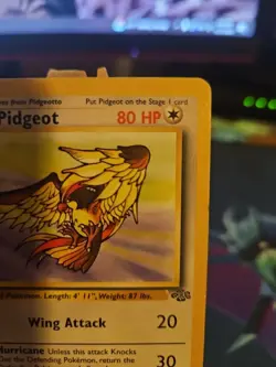 Pidgeot Jungle Regular Rare Card 24/64 MP Condition Pokemon TCG Card - Image 3