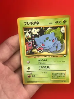 4set EX~NM-) Pokemon Card Old-Back Era Special Set Japanese Bulbasaur Chikorita - Image 4
