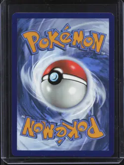 Tornadus - (Pokemon Center Exclusive) Promo SV: Scarlet & Violet Promo Cards 210 - Image 2