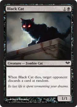 Black Cat Light Play, English Magic the Gathering MTG Dark Ascension - Image 1