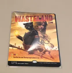 Wasteland |NM| Encyclopedia Secret Lair Magic MTG Non-Foil - Image 1