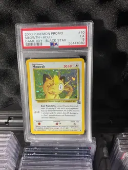 Pokemon TCG Meowth Black Star Promos Holo Card Wizards Black Star Promo 10 PSA 5 - Image 5