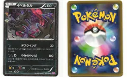 Yveltal Holo Pokemon TCG PokeKyun Collection 018/032 (CP3) MP - Image 3