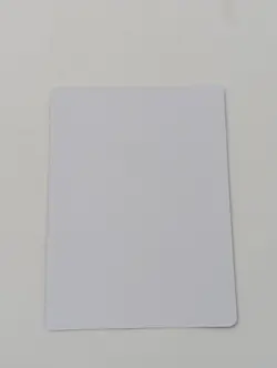 2024 One Piece Nico Robin Holo Trading Card Sticker Wanted Dead or Alive - Image 2