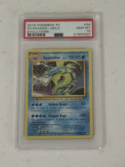 Pokemon Gyarados XY Evolutions Holo Rare #34 PSA 10 Gem Mint - Image 1